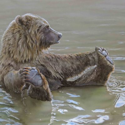 painting of grizzly in water