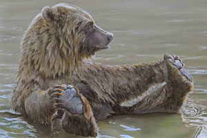 Acrylic painting of grizzly bear