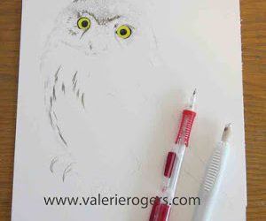 Step by Step Owl Painting