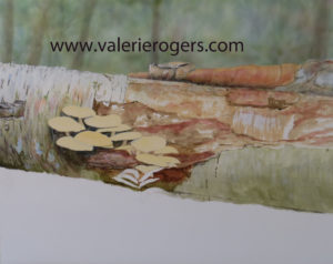 Start of mushroom squirrel painting by Valerie Rogers