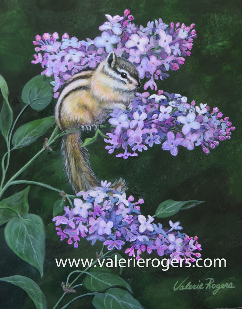 chipmunk, lilacs by Valerie Rogers