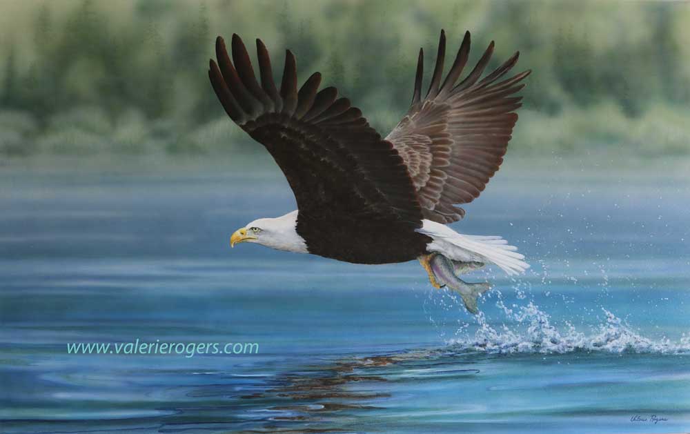 Power & Precision, Eagle painting by Valerie Rogers