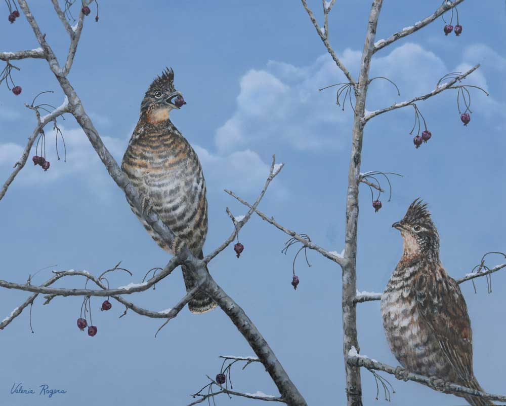 grouse painting by Valerie Rogers