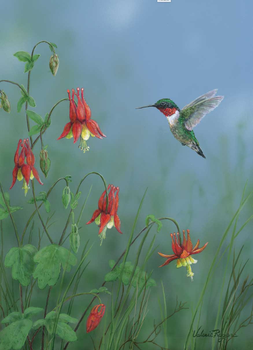 hummingbird in flowers painting