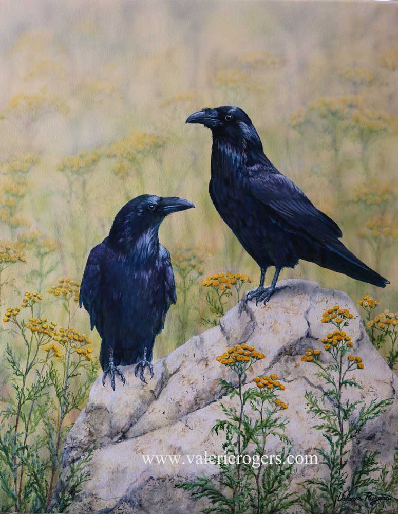 two ravens in tansy painted by Valerie Rogers